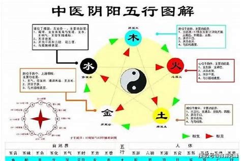 八字看疾病|八字看疾病健康详解 – 常见疾病的八字特征